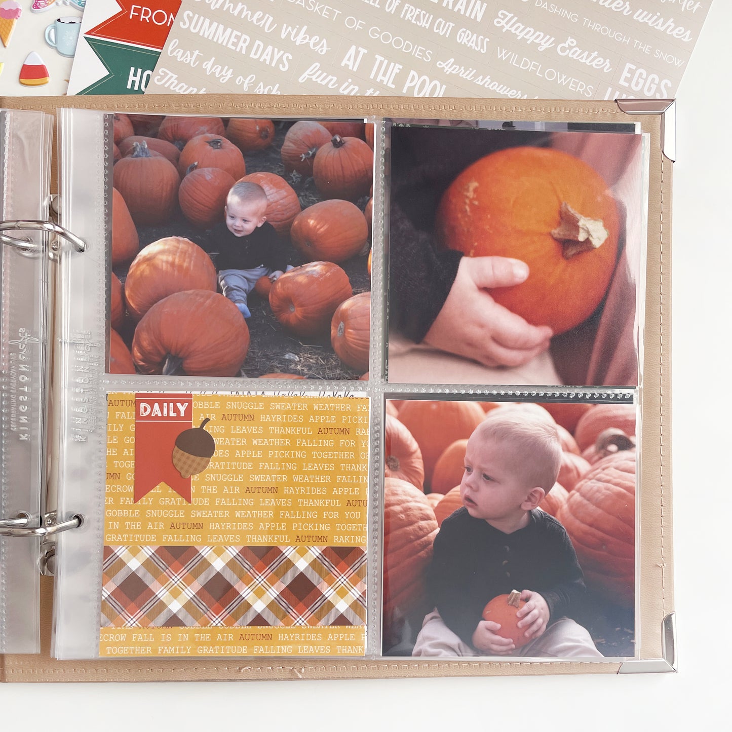KC EDS: All Through the Year Album Bundle