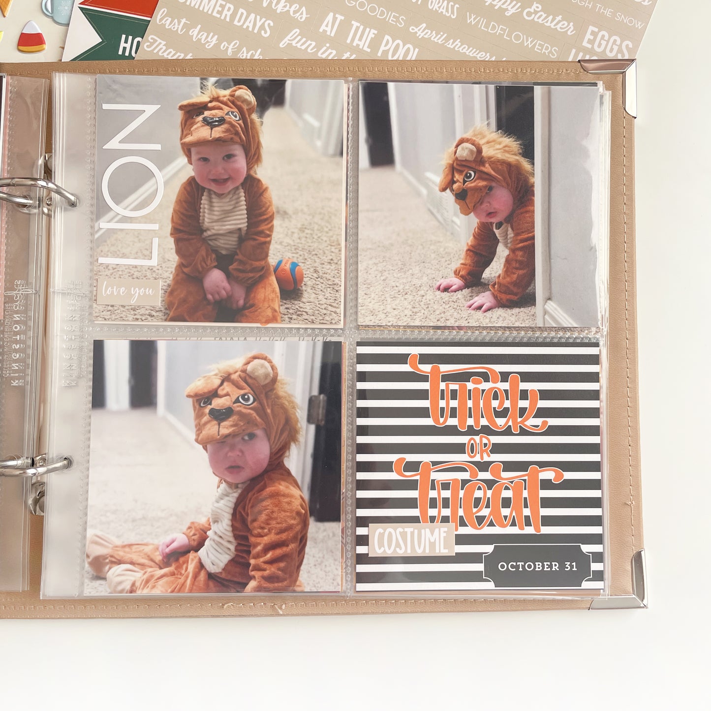 KC EDS: All Through the Year Album Bundle
