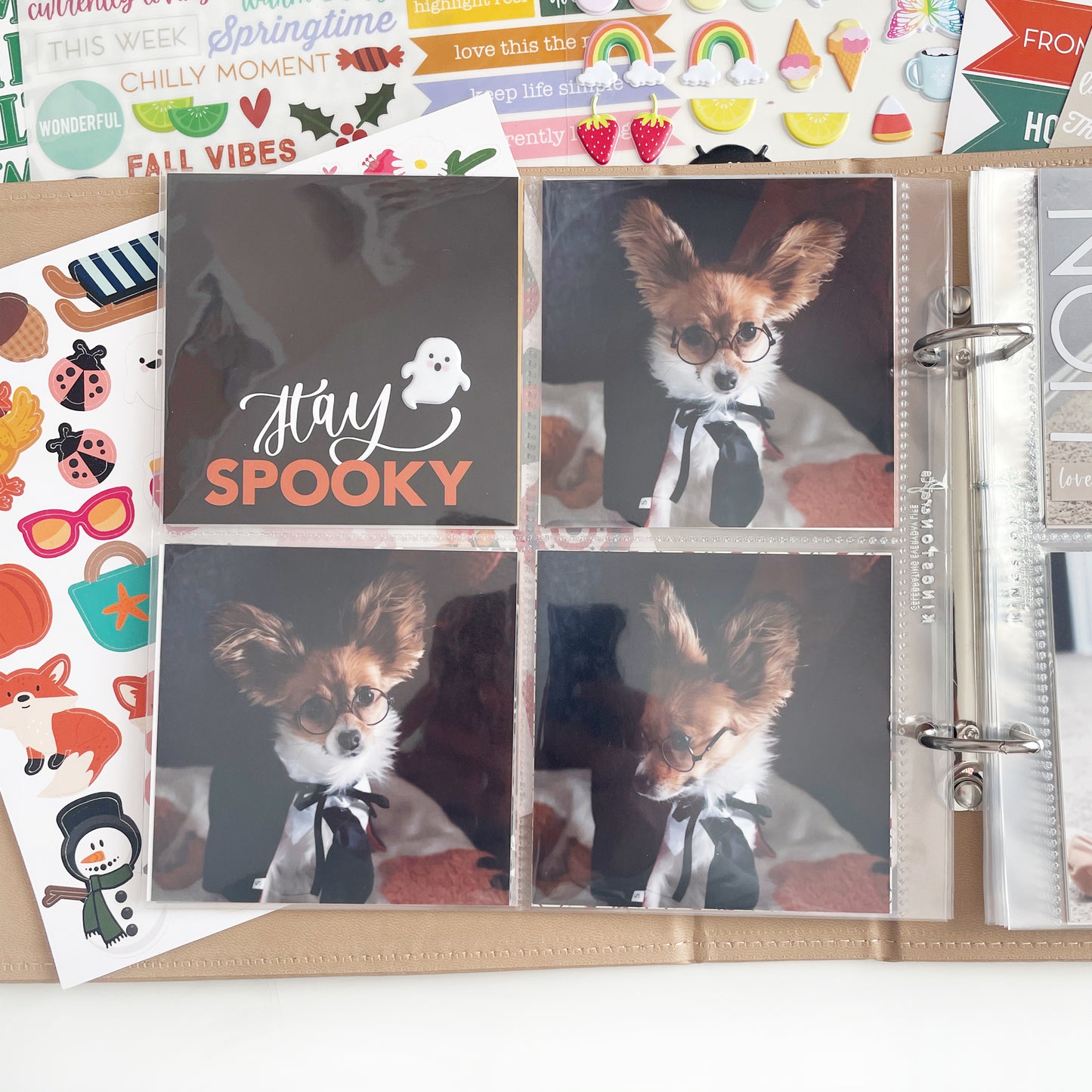KC EDS: All Through the Year Album Bundle