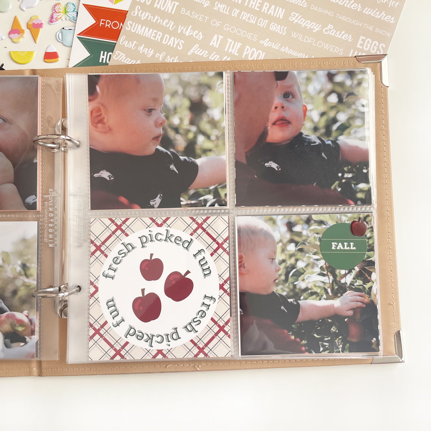 KC EDS: All Through the Year Album Bundle